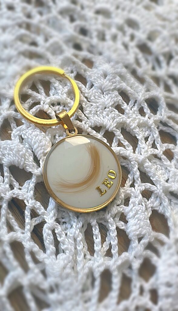 283AE283-CD91-4FC5-B809-4367A2A25E2C